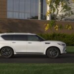 Infiniti QX80 2020