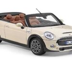 Mini Cooper Convertible 2019 Rentals