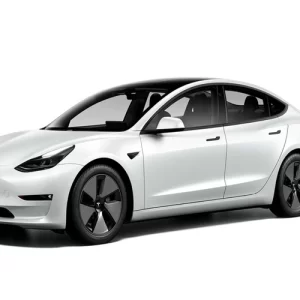 Tesla Model 3 Performance 2022 rentals